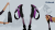 52b73ac0e270a13ddaec59fdd388bd2b.png