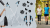 e5b71406eb693ff882b4675a5b7d1eca.png