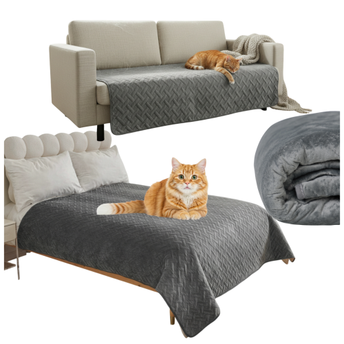 8a9d0dd85203553a563818404a0a8874