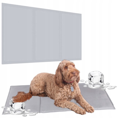 a8356c8f214f5a81239a751c7f498492