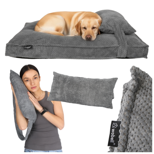 113b8e3efe3581818a026ccc21aecd02