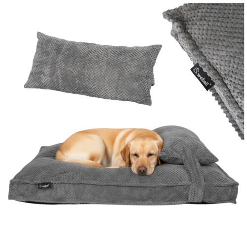 2667968b386e0f8f01d6be9eff9bb76f