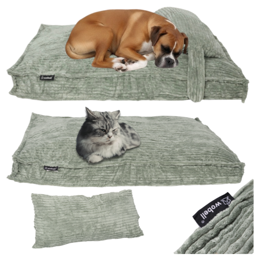 3ea8742648aa94750ecacfbed9b811d6