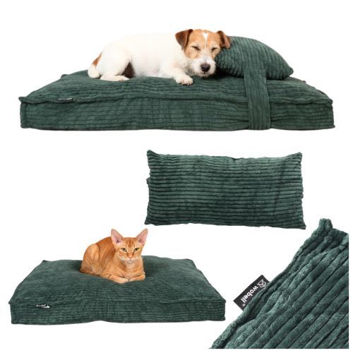 76208629a61f107404039c3cbd13c0ca