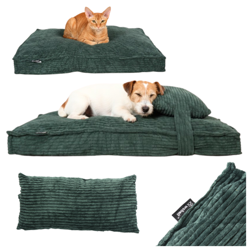 7ffdb6a2586f5aad673504ed674e0d85