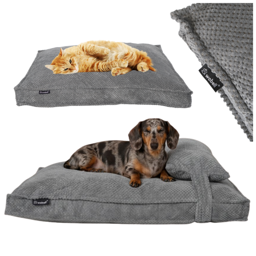 2dec6c6d14a1877d1040529eab7d67d3