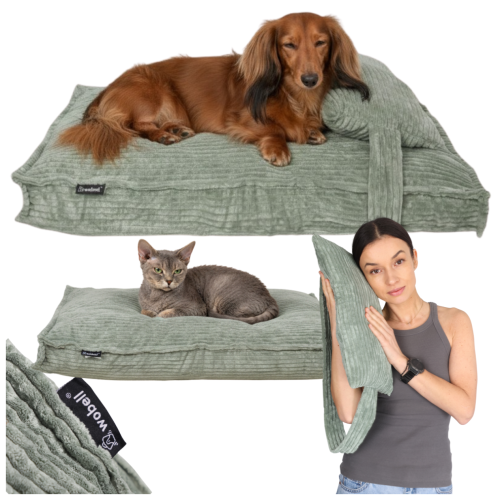 66ddc3e6823c673b3f54dff04a5d97fc