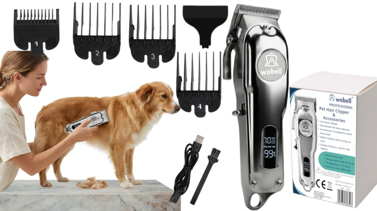 428c523bb52cbbc49963375fc2865a0d