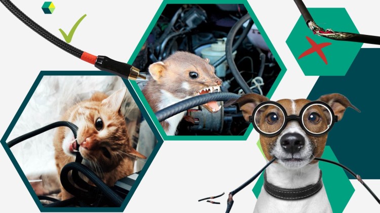 6f1b17c12fc98f00684fe477872b8a87