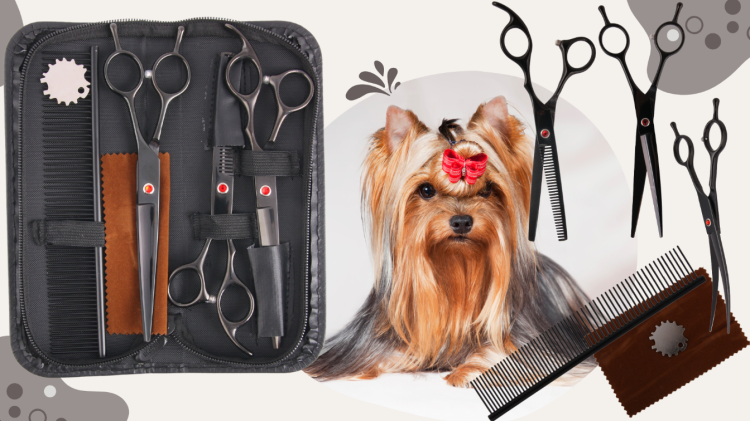 22ed57f89ec4b57bfe7be27fd20d434e