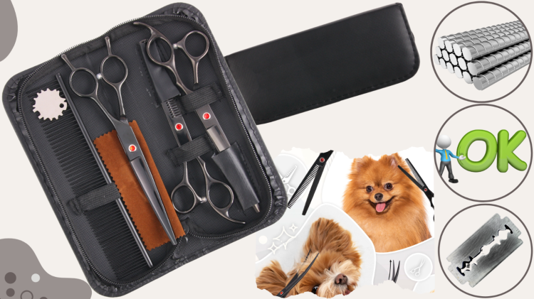 34470aa1dc67cd35888bbe4ac8068cc4