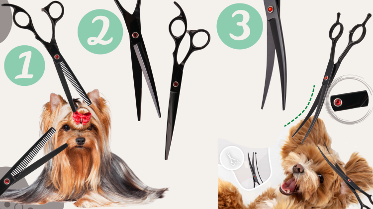 60416d8e355f7014ed2eb92e16a23b77