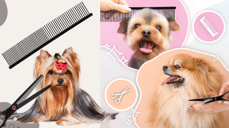 27f22a8efb9fb71cda127d3d519e2f8a